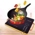 induction cooker